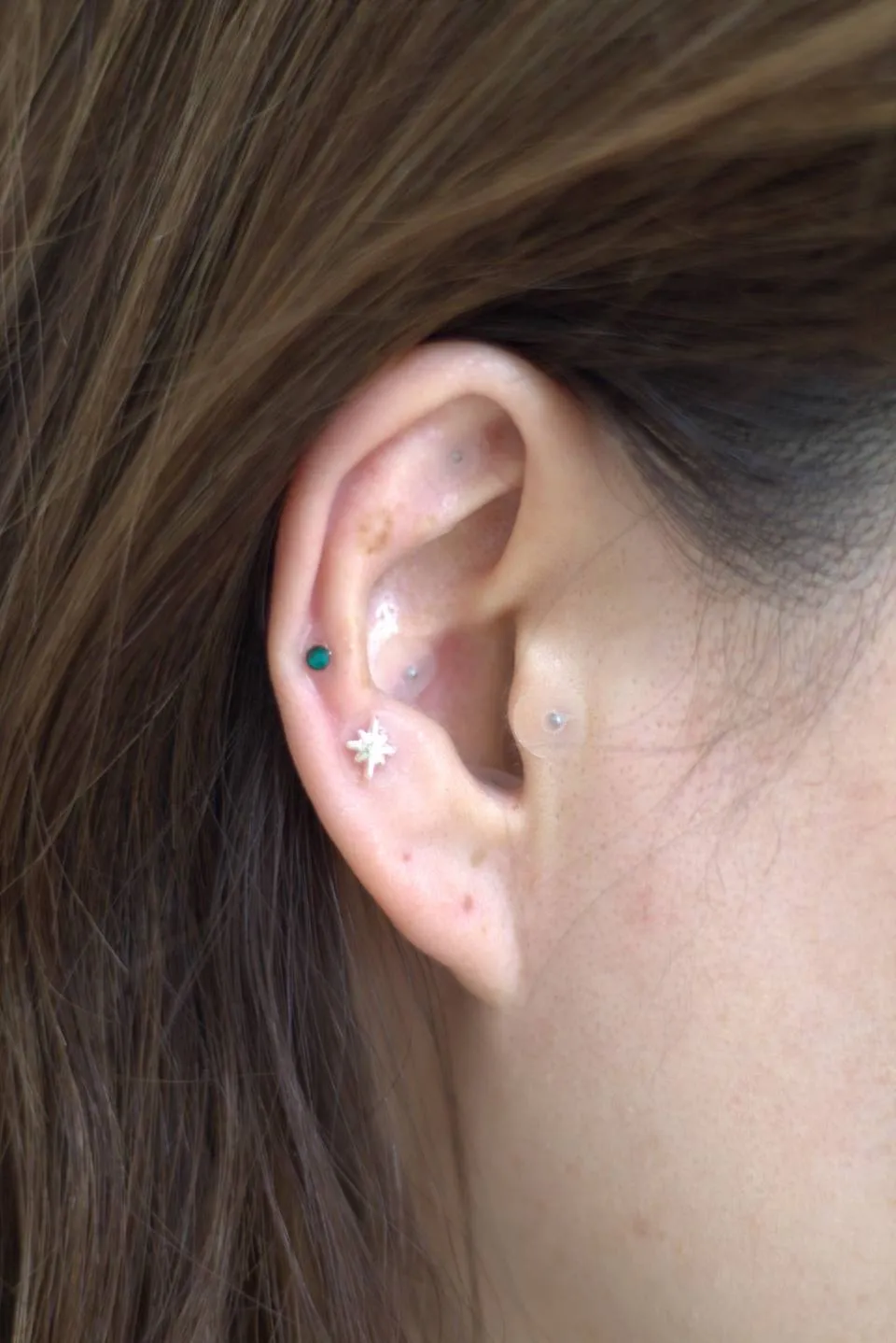 お客様の感想と畑のお話